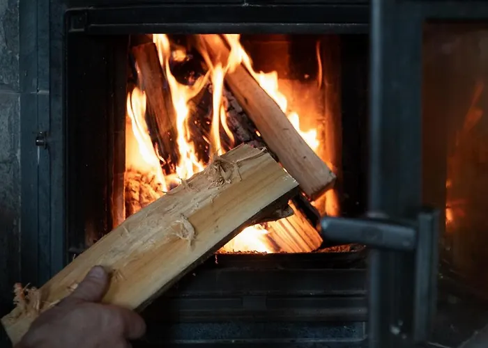 Koivurannan Lomamoekit Tiira 木屋 米凯利